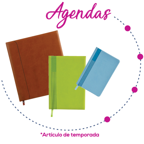 agendas mv